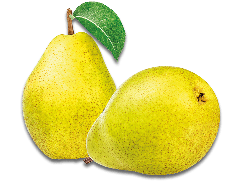 Privatbrennerei Platner Riserva Frucht
