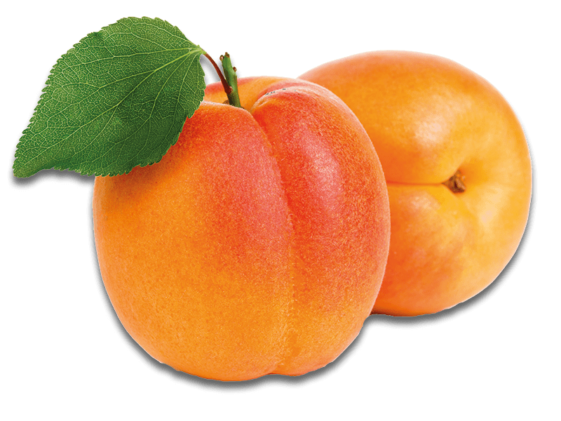 Privatbrennerei Platner Marillenlikör Frucht