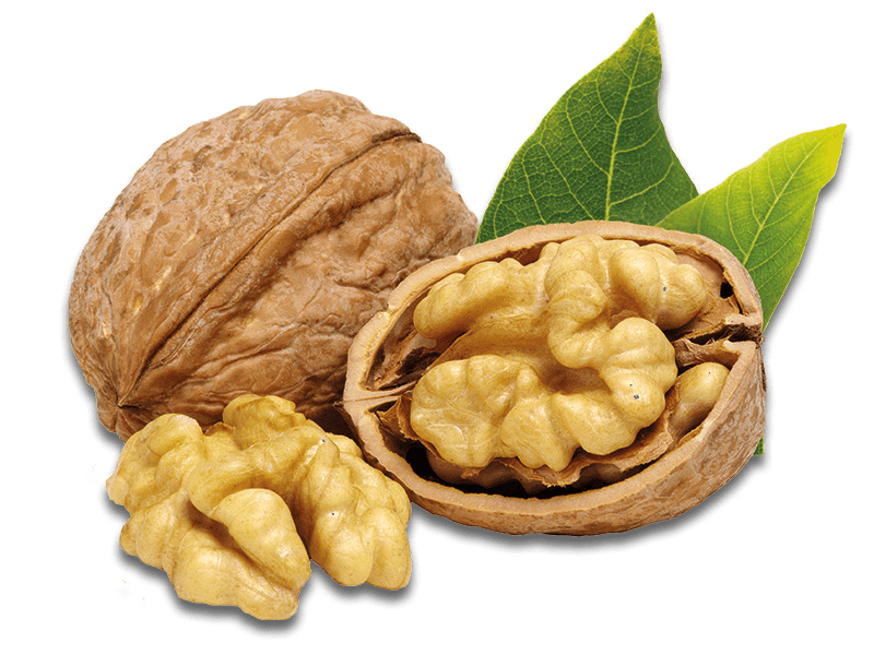 Privatbrennerei Platner Nusseler Frucht