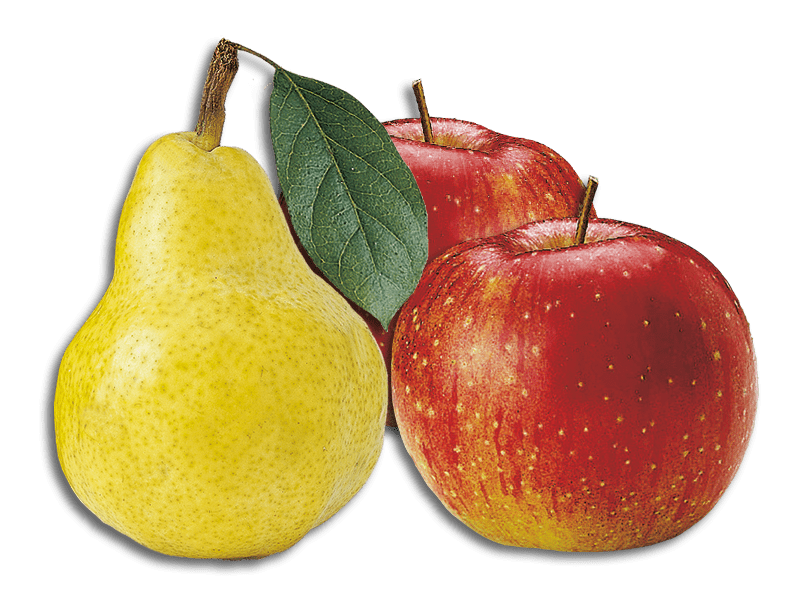 Privatbrennerei Obstbrand Frucht
