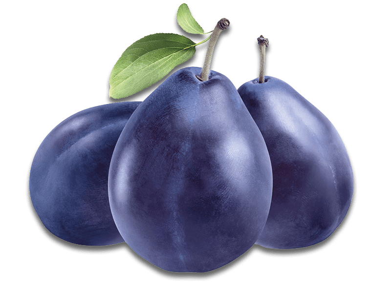 Privatbrennerei Platner Pflaumen Edelbrand Frucht