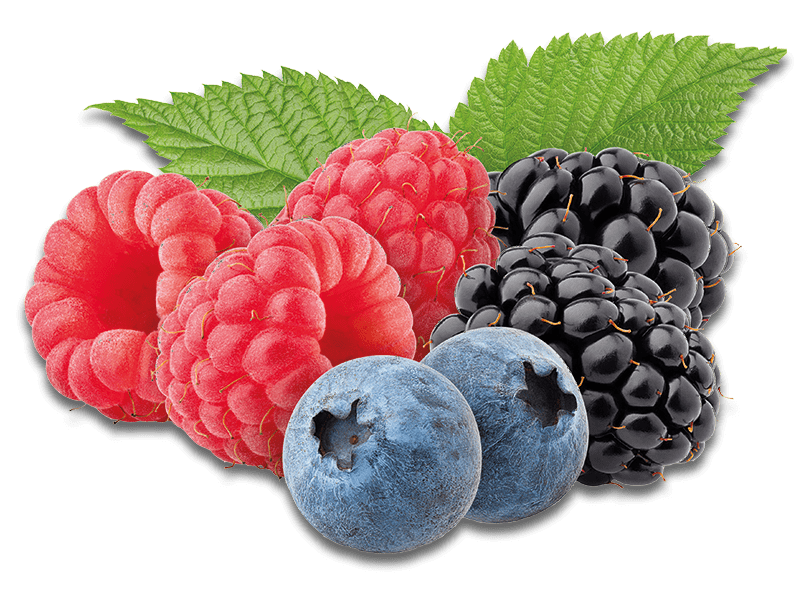 Privatbrennerei Platner Waldfrüchtelikör Frucht