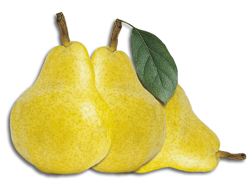 Privatbrennerei Platner Williams-Christ Birnenbrand Frucht